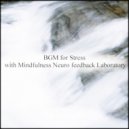 Mindfulness Neuro Feedback Laboratory - Effect & Frustration