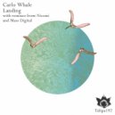 Carlo Whale - Landing
