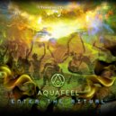 Aquafeel - Enter The Ritual (Original Mix)