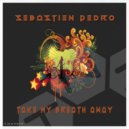 Sebastien Pedro - Technoize Connection