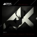 Mike Montano - Evolution of Sound (Nikola Gala Remix)