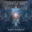Transient Disorder & Spiritual Mode - True Hallucination (Original Mix)