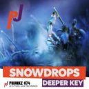 Deeper Key - Snowdrops (Original Mix)