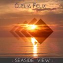 Clelia Felix - Coming Home