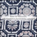 Mindfulness Sustainability Laboratory - Birthday & Rhythm (Original Mix)