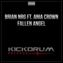 Brian NRG ft. Ania Crown - Fallen Angel (Original Mix)