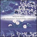 Mindfulness Sustainability Laboratory - Raphael & Sensitivity (Original Mix)