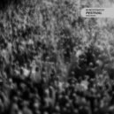 Shestakov - Festival