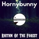 Hornybunny - Moonlight Sonata