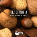 Vladimir D - Mechanical Piano (Original Mix)