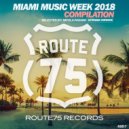 Nicola Fasano, Honorebel, Shaggy - Own The Night (Miami Rockets Mix)