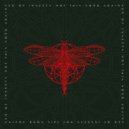 Sex Of Insects - Not This Song Again