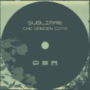 Sublimar - The Swing