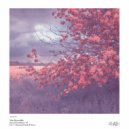 Non Reversible - Spectral Irradiance