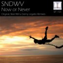 SNDWV - Now Or Never (Basil XM Remix)