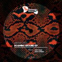 Mister Loco - Roaming Around (Original Mix)