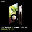 George North Feat. Gioia - Seeds Of Life (Extended Mix)