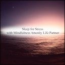 Mindfulness Amenity Life Partner - Map & Acoustic (Original Mix)