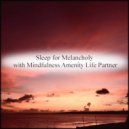 Mindfulness Amenity Life Partner - Overall & Safety (Original Mix)