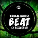 Ck Pellegrini - Tribal House Beat