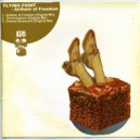 Flying Point - Anthem of Freedom (Original Mix)