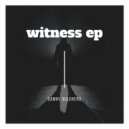Danny Dulgheru - Witness (Original Mix)