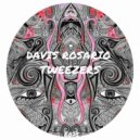 Davis Rosario - House Fatta