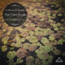 Alonso Di Uomo - The Spell Is Over