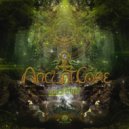 Ancient Core & Sufi’s life - The Father’s Theme (Original Mix)