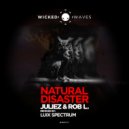 JulieZ & Rob L. - Natural Disaster (Luix Spectrum Remix)