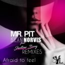 Mr. Pit & Sean Norvis feat. Justine Berg - Afraid To Feel