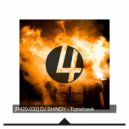 DJ Shindy - Spring Storm