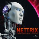 Nettrix - Transformer Style Cyborg