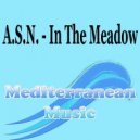 A.S.N. - Black Raven (Cover Version)