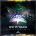 Virgo - Birds Of Paradise