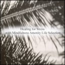 Mindfulness Amenity Life Selection - Gaudi & Self-Control (Original Mix)