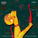barbeX - Coming