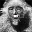 Carlos Mendes & Saulo Pisa - Tibet (Original Mix)