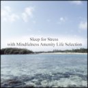 Mindfulness Amenity Life Selection - Parabola & Mental Stability (Original Mix)