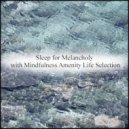 Mindfulness Amenity Life Selection - Cretaceous & Mental Stability (Original Mix)