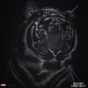 Zarok - Travel Boots