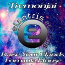 Tremonjai - Formula House (Original Mix)