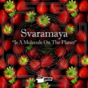 Svaramaya - Interplanetary Jazz
