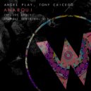 Angel Play, Tony Caicedo - Anarqui (Original Mix)