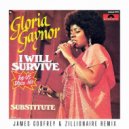 Gloria Gaynor - I Will Survive (James Godfrey & Zillionaire Remix)