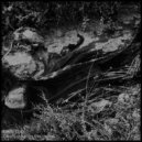 Dual Fuel - Arp Bass