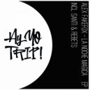 Alex FakeFox - La Noche Magica (Santi & Rebets Remix)