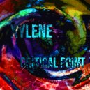 XYLENE - Critical Point