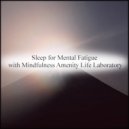 Mindfulness Amenity Life Laboratory - Piano & Self Pleasure (Original Mix)