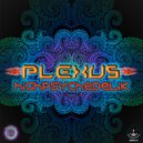 PLEXUS - Highpsychedelik (Original Mix)